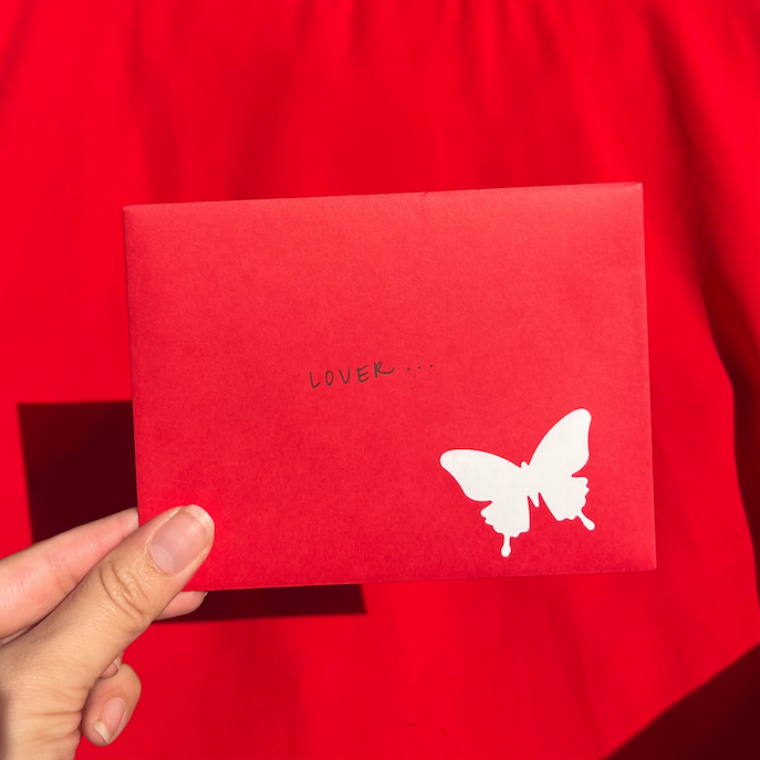 Pink Christmas Present | Taylor Swift Christmas | Swift Gift | Christmas Gift